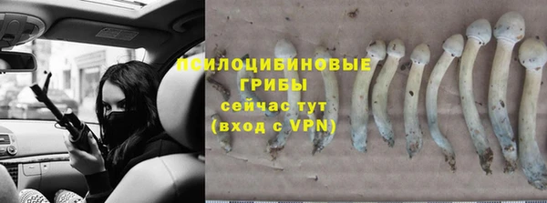 меф Переславль-Залесский