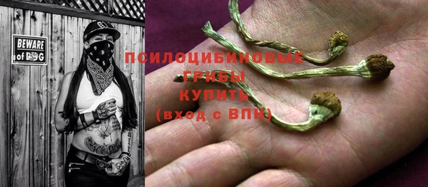 герыч Пестово